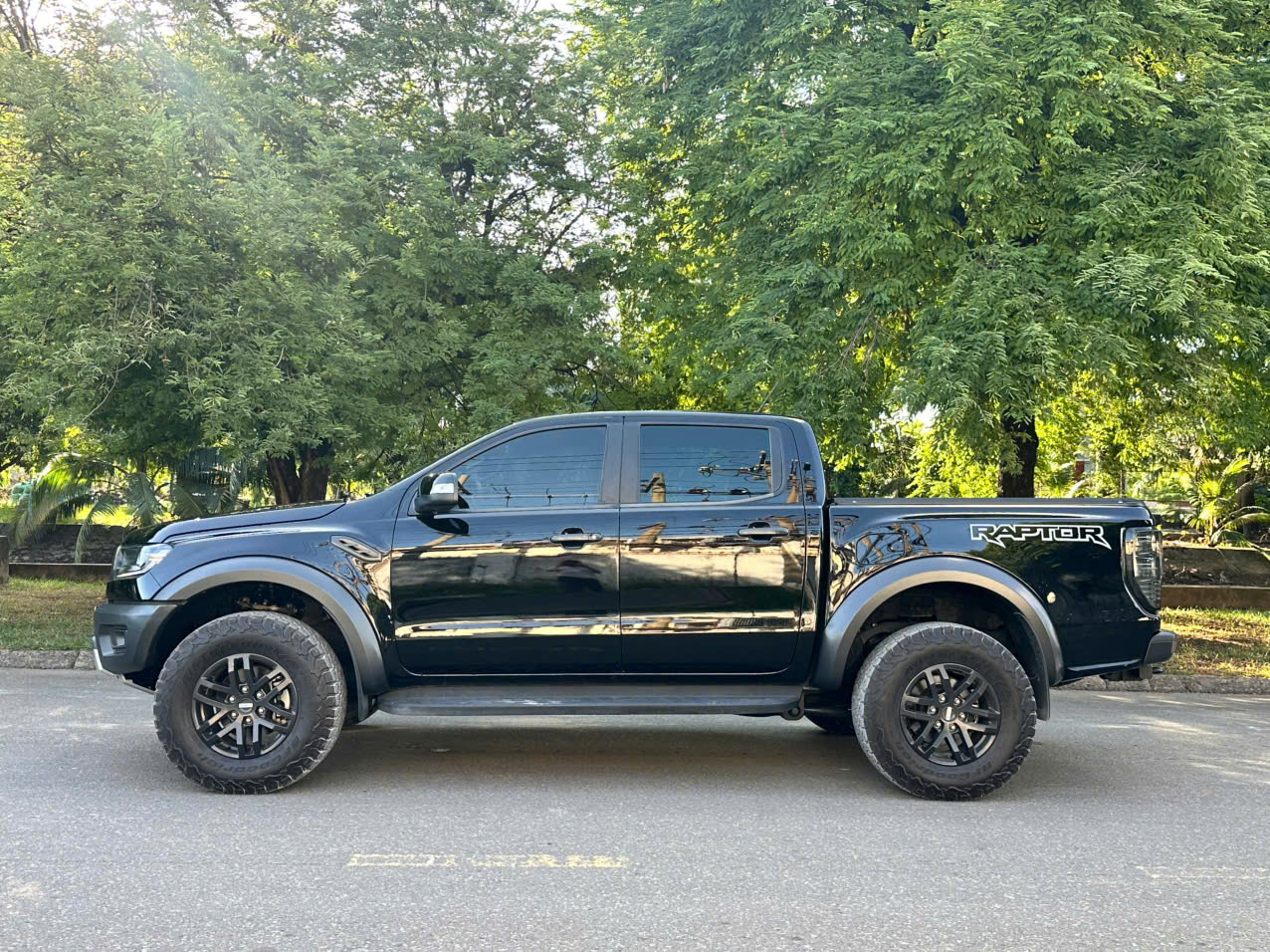 Ford Raptor - ảnh 6